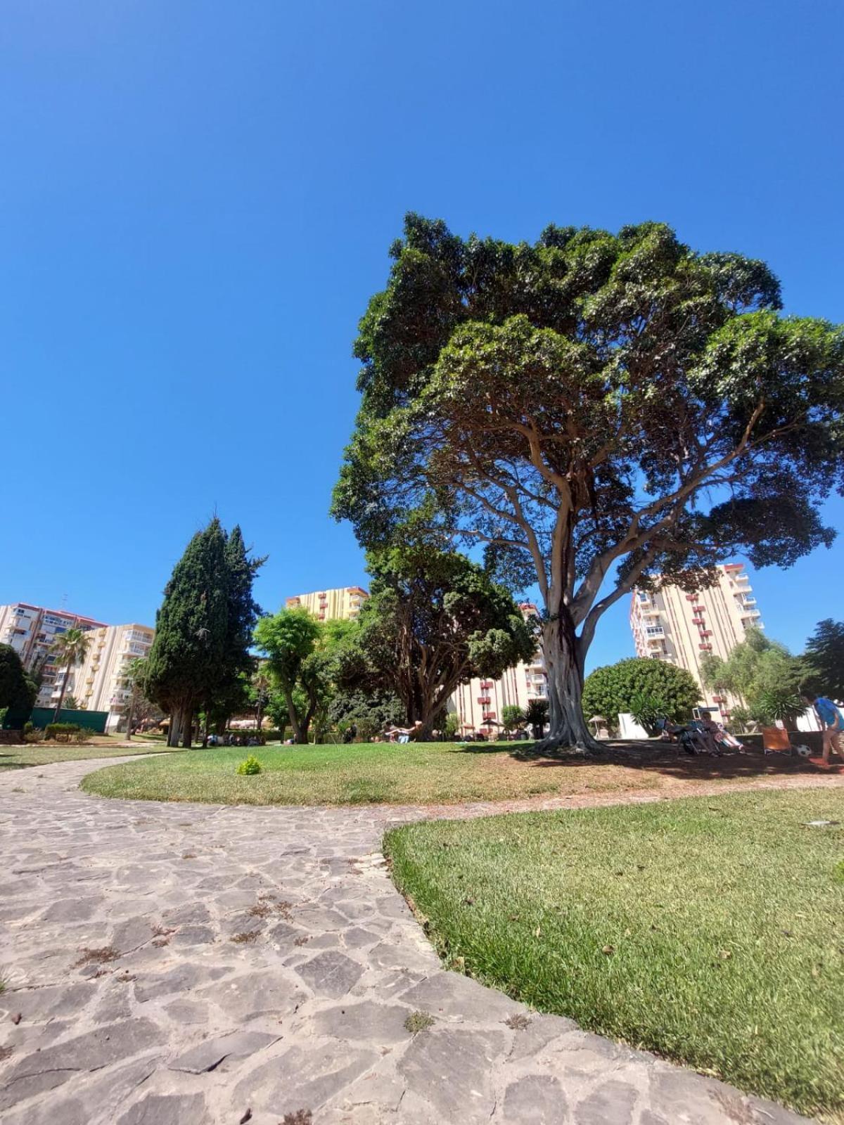 Studio Vista Costa Del Sol Benalmádena Eksteriør bilde
